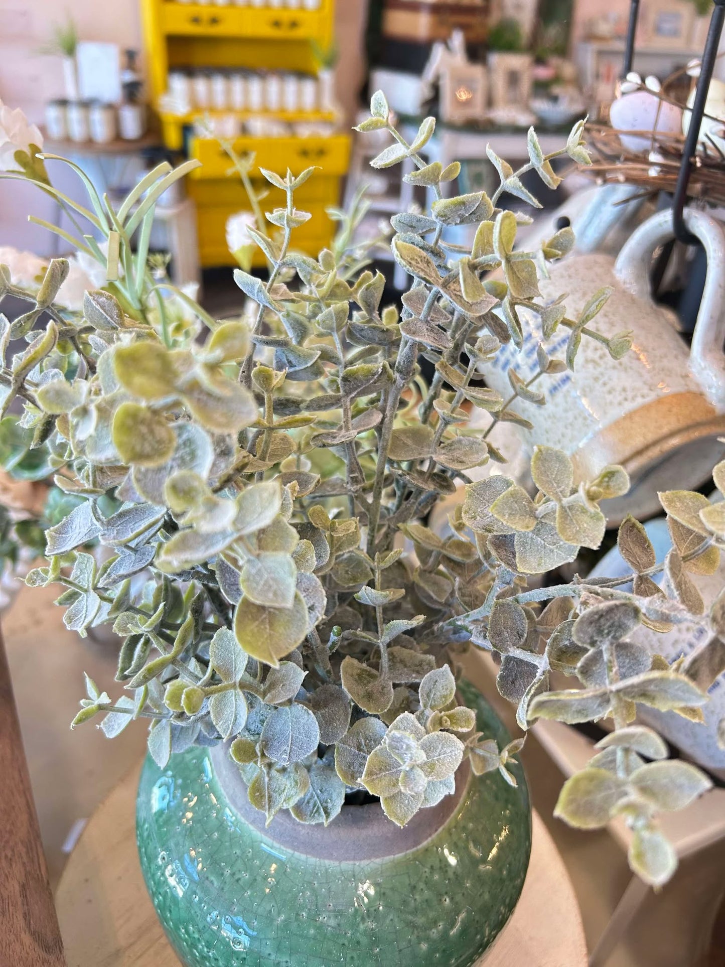 14" Eucalyptus Bunch/Grand Bay