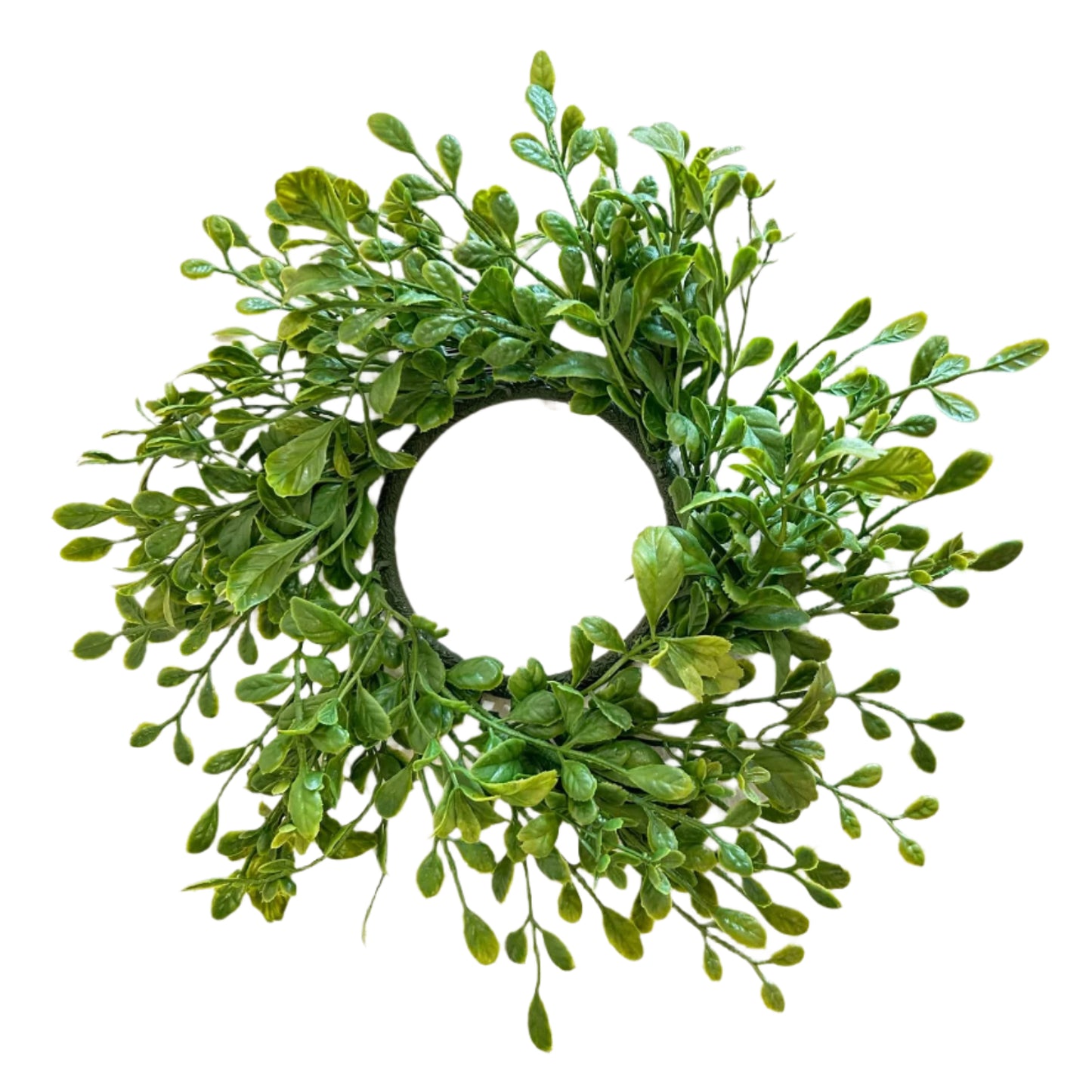 English Boxwood Candle Ring