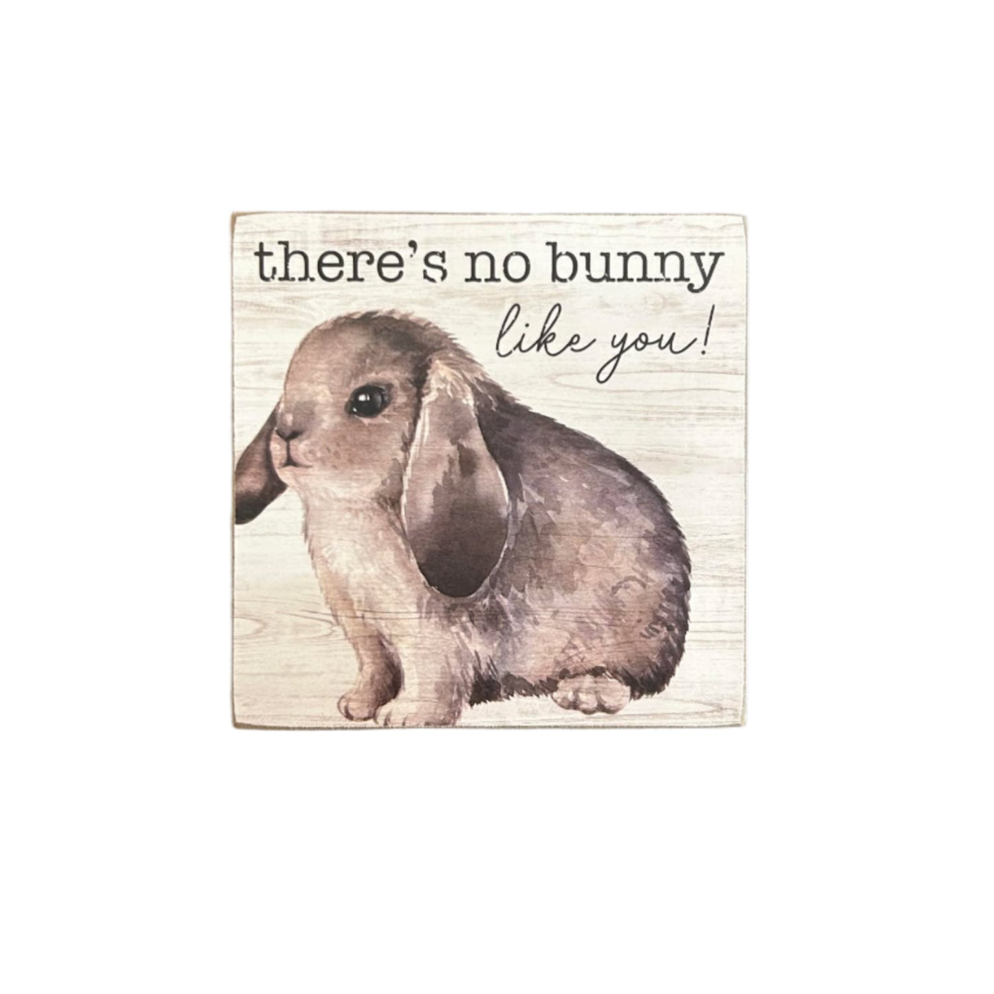 There's No Bunny Like You Block Sitter
