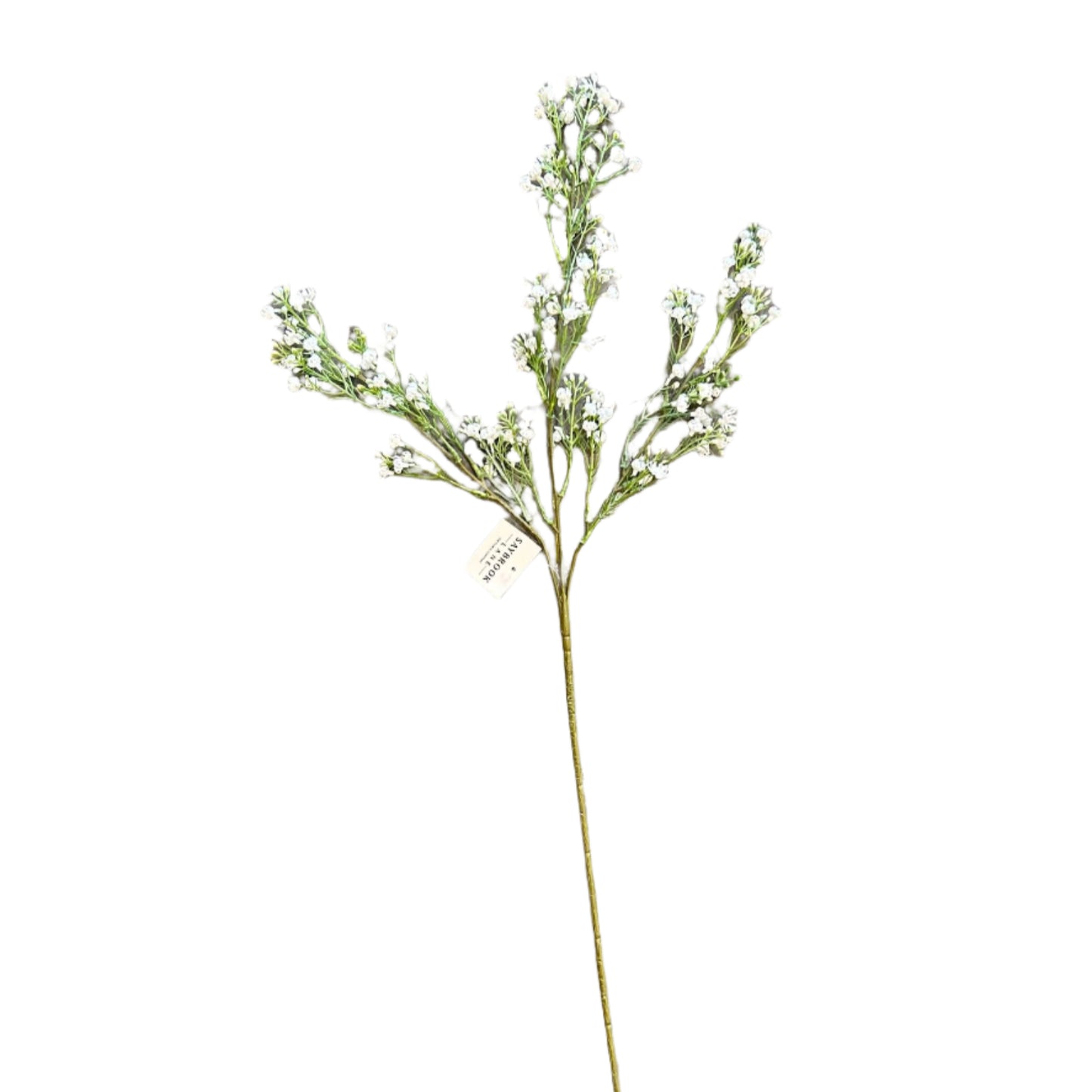 Wispy Baby's Breath Tall Stem