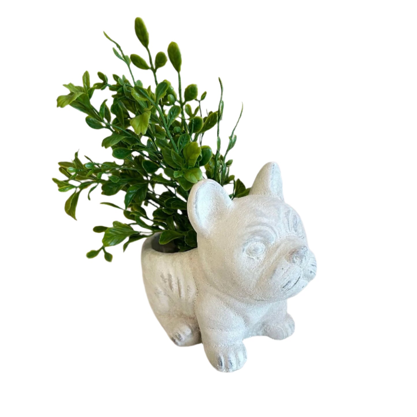 French Bulldog Planter/Vase
