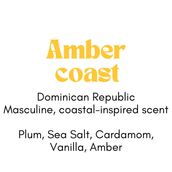 LH Mercantile Room and Linen Spray- Amber Coast