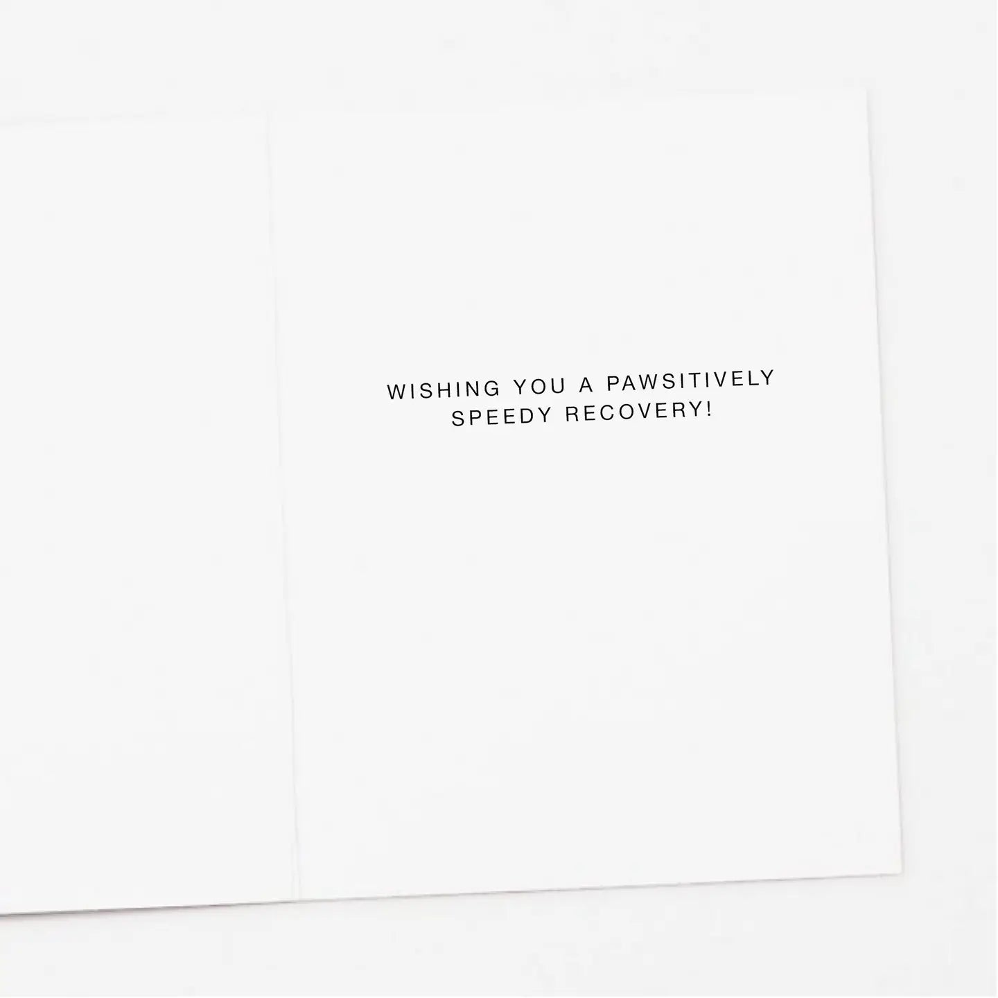 Ice Pack Dog Pawsitively Get Well Card