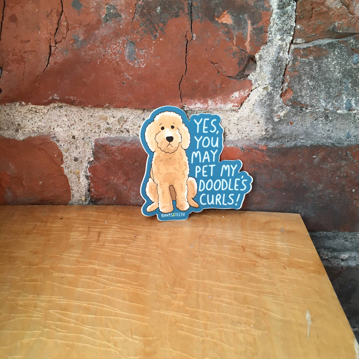 Pet My Doodle's Curls Sticker