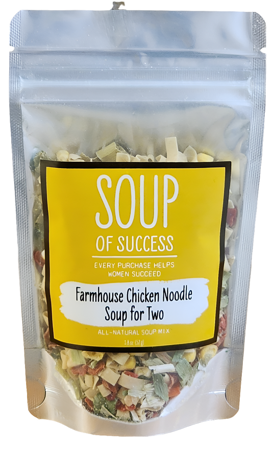 Farmhouse Chicken Noodle Soup for 2