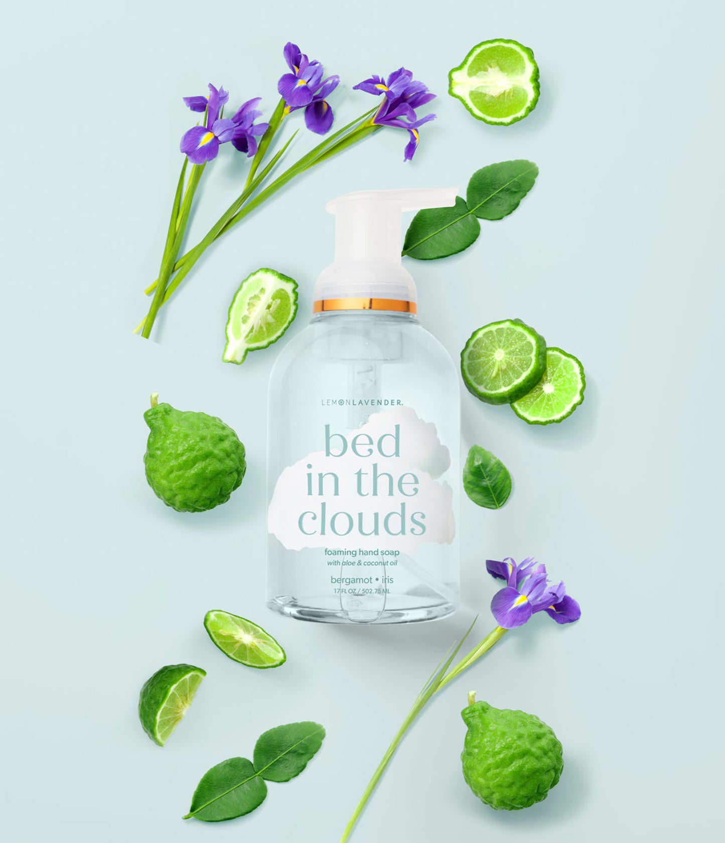 Clean Spirited Foaming Hand Soap