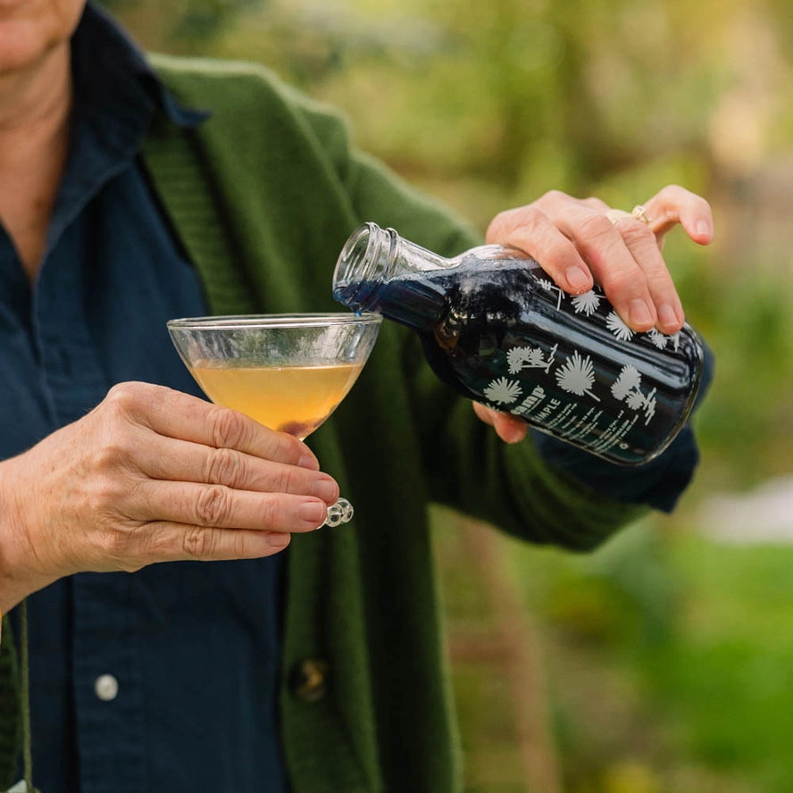 Camp Simple-Butterfly Pea Flower