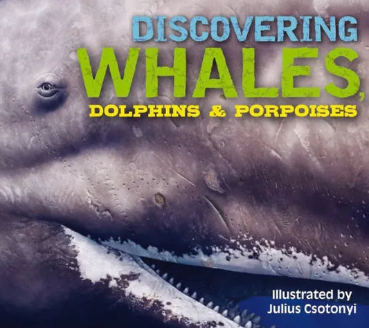 Discovering Whales Dolphins and Porpoises