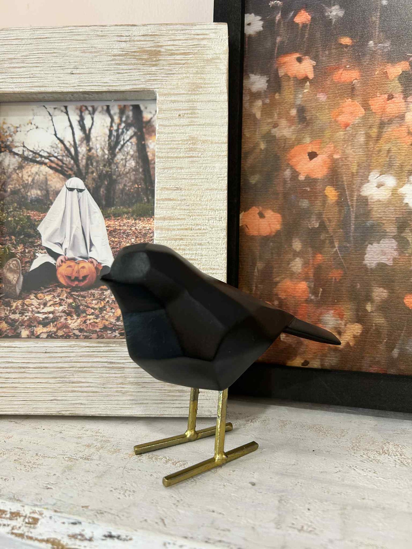 Bonnie The Black Bird