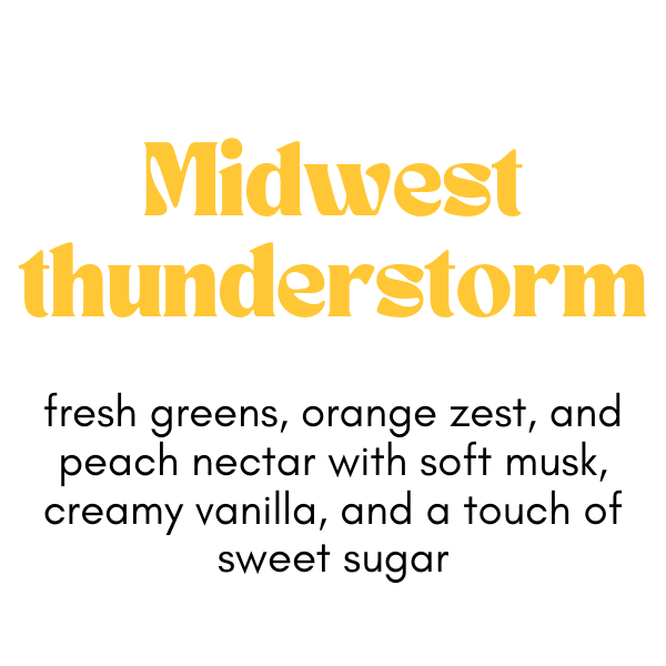 LH Mercantile Wax Melt- Midwest Thunderstorm