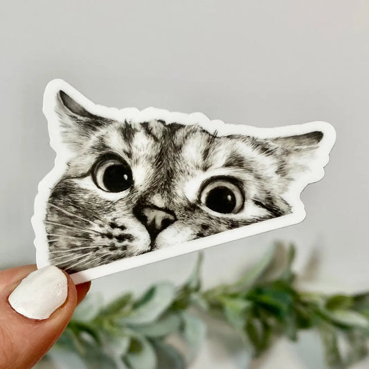 Peeking Cat Sticker