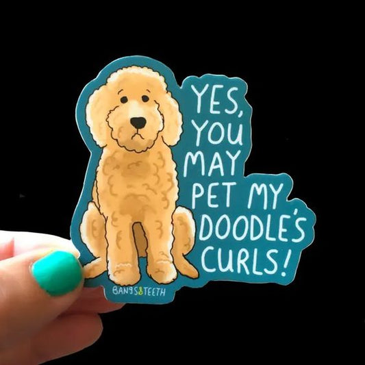 Yes You May Pet My Doodle's Curls Sticker