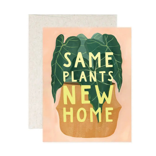 Same Plants New Home