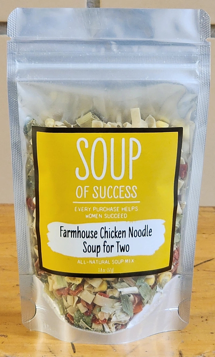 Farmhouse Chicken Noodle Soup for 2