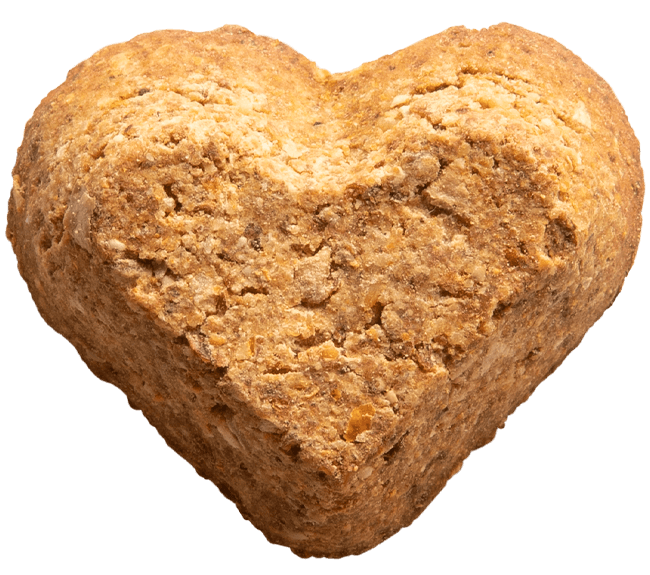 Give Pet-Birthday Bash Soft Baked Dog Treats