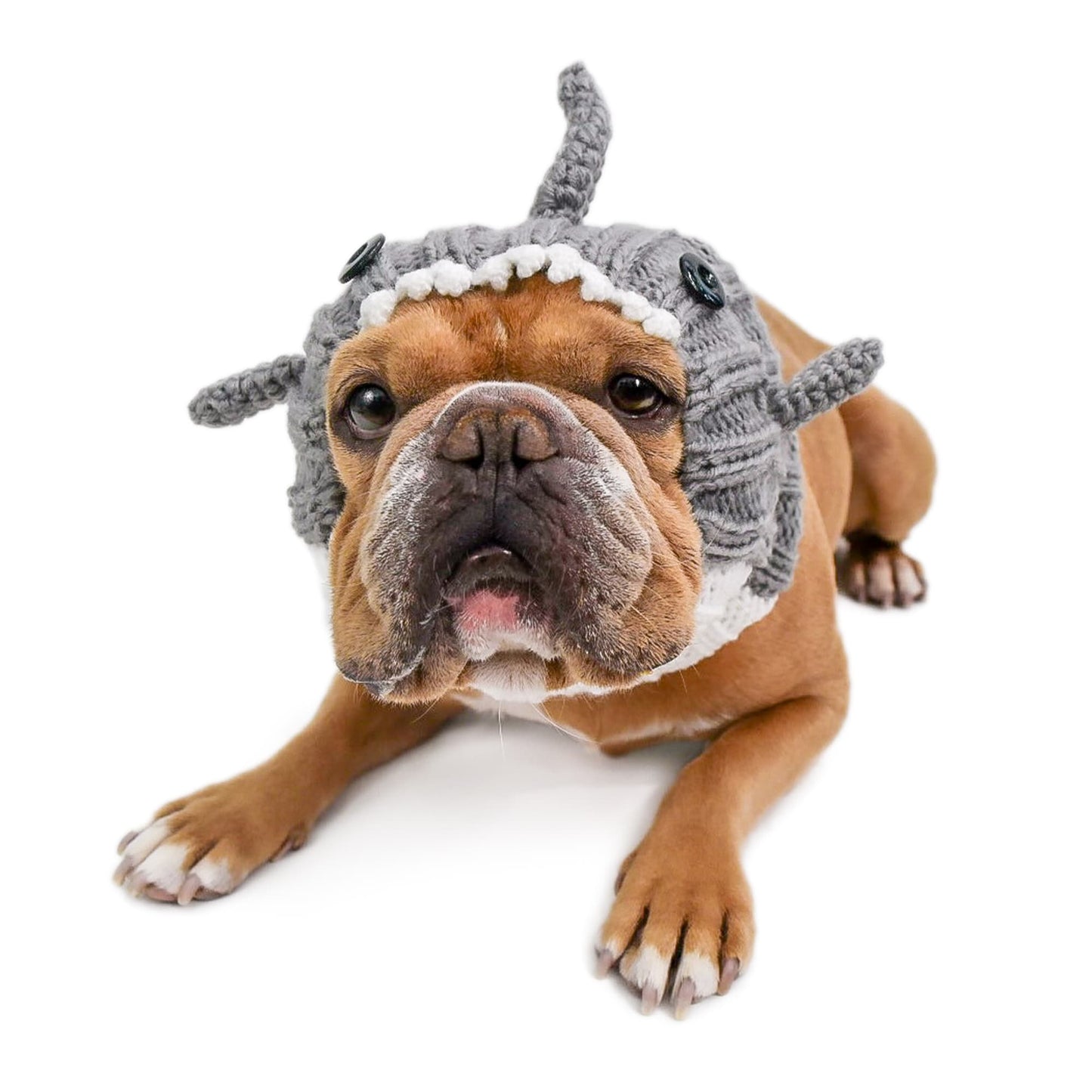 Great White Shark Dog Snood