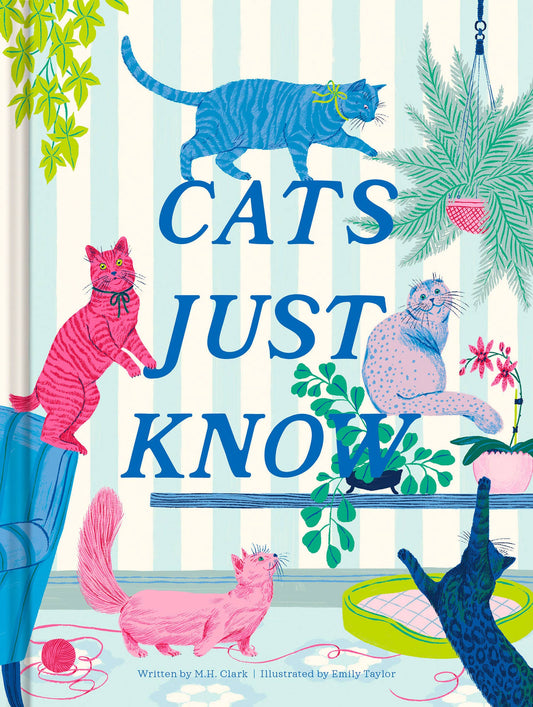 A book with the cover saying 'Cats Just Know' along with colorful cats against a fun striped wall