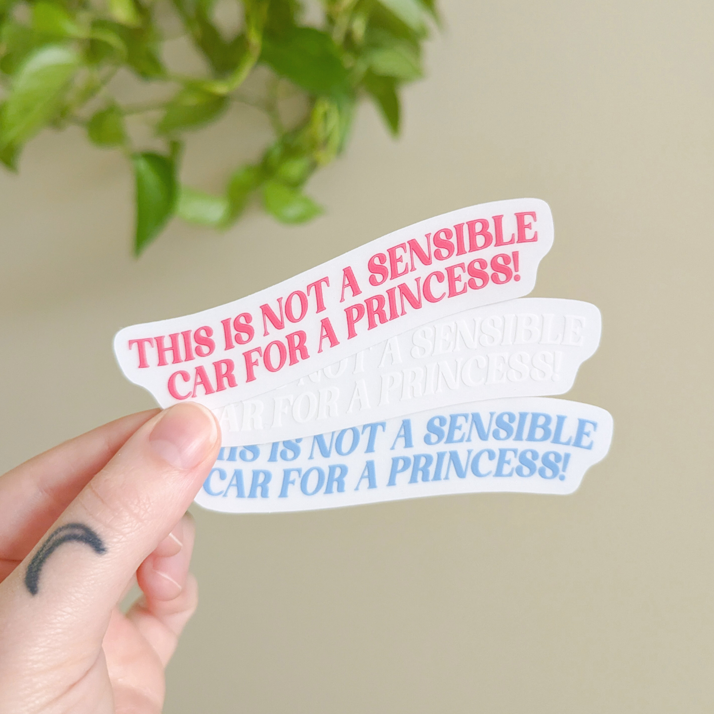 Mirror Decal- Not a Sensible Car