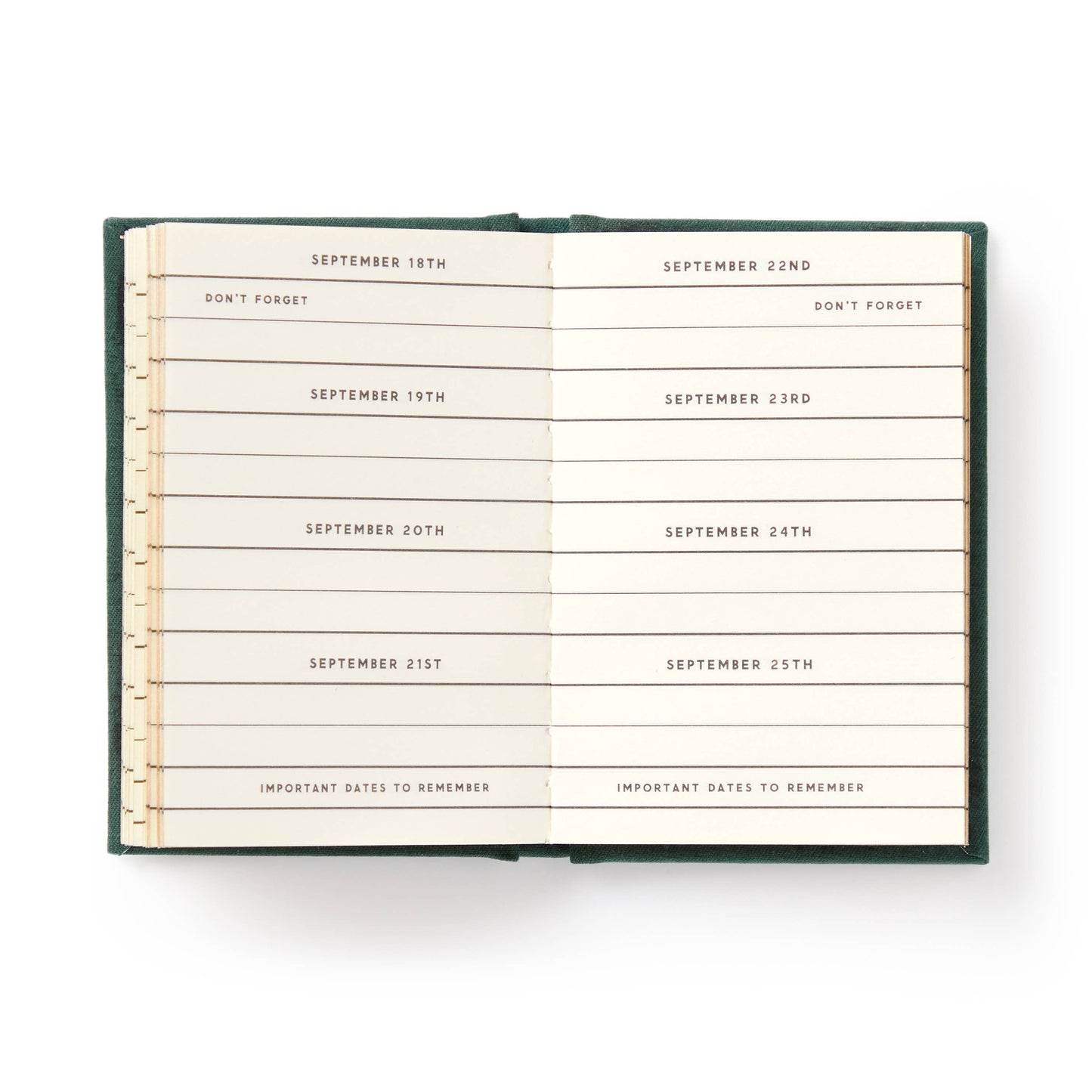 Calendar with dates and reminders on a white background