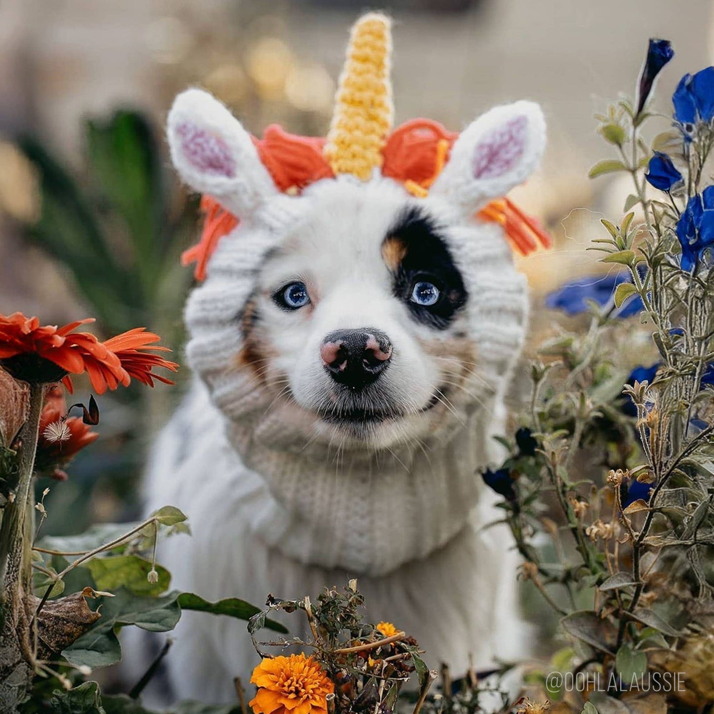 Unicorn Dog Snood