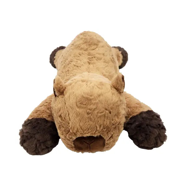 Plush toy capybara lying on its back with a white background