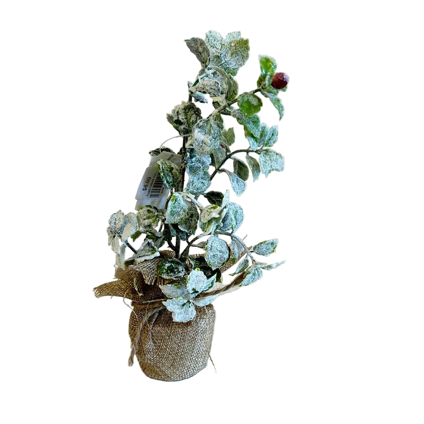 Frosty Leaves Tree in Burlap