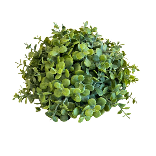 Boxwood Half Ball 7"