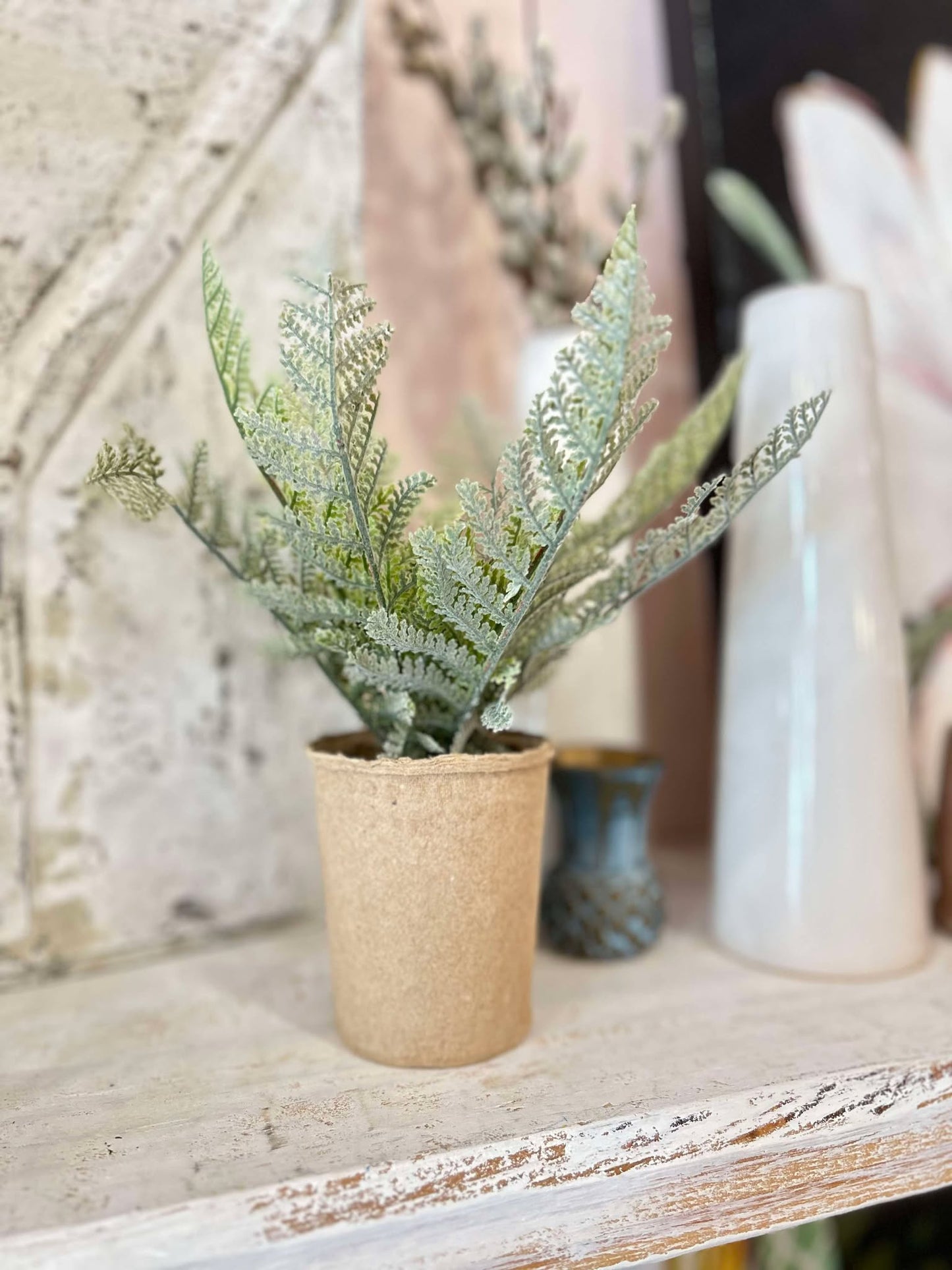 Plant in Paper Pot