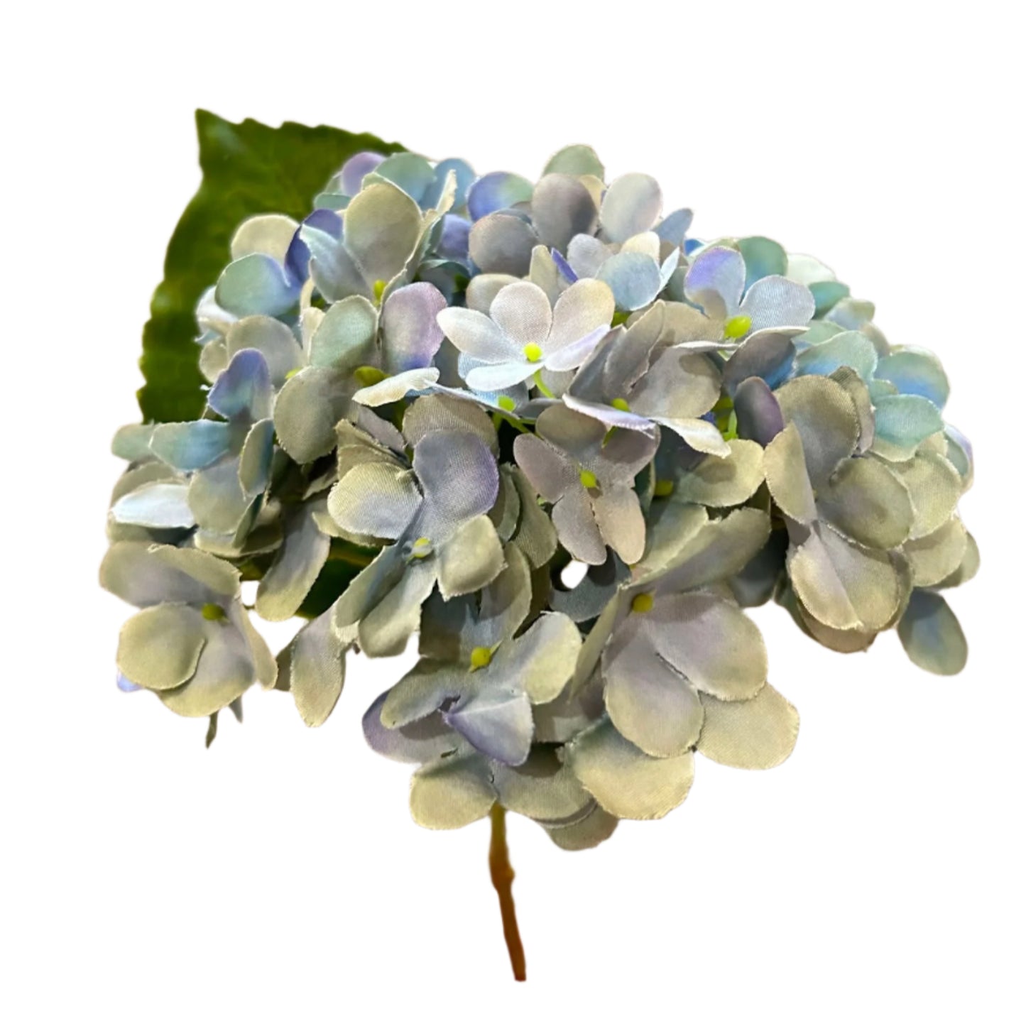 Blue Hydrangea Single Pick