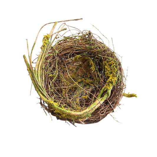 Small Nest with Green Moss 4.5"