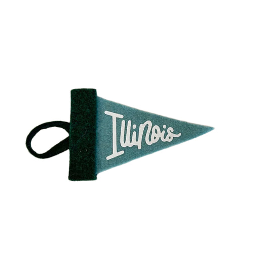 Mini Pennant Illinois-Winter Blues