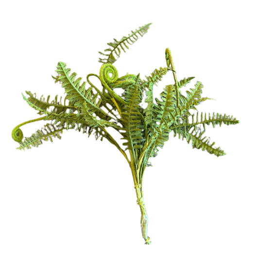 16in Frilly Fern