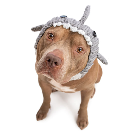 Great White Shark Dog Snood