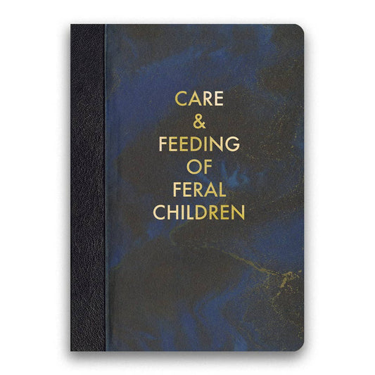 Book titled 'Care & Feeding of Feral Children' with blue and black marbled cover