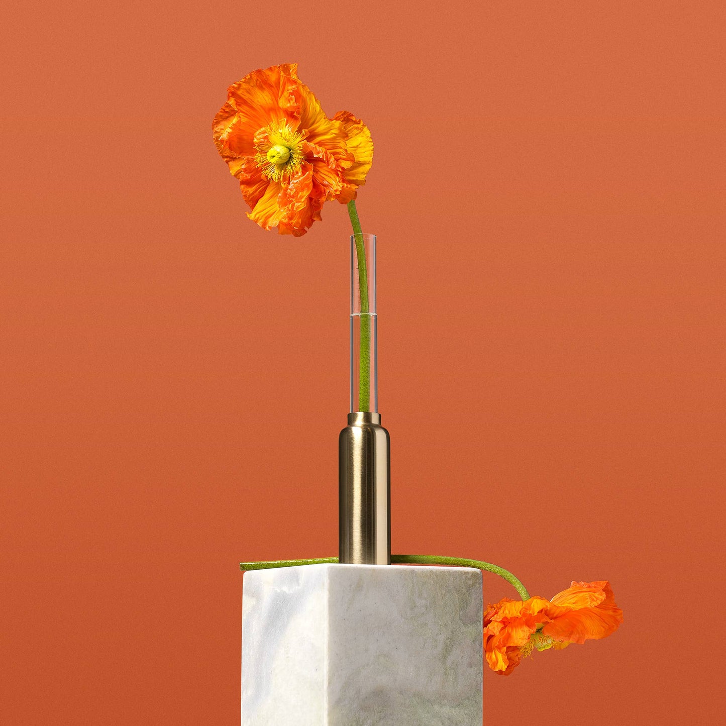 Orange flower in a metallic and marble vase against an orange background