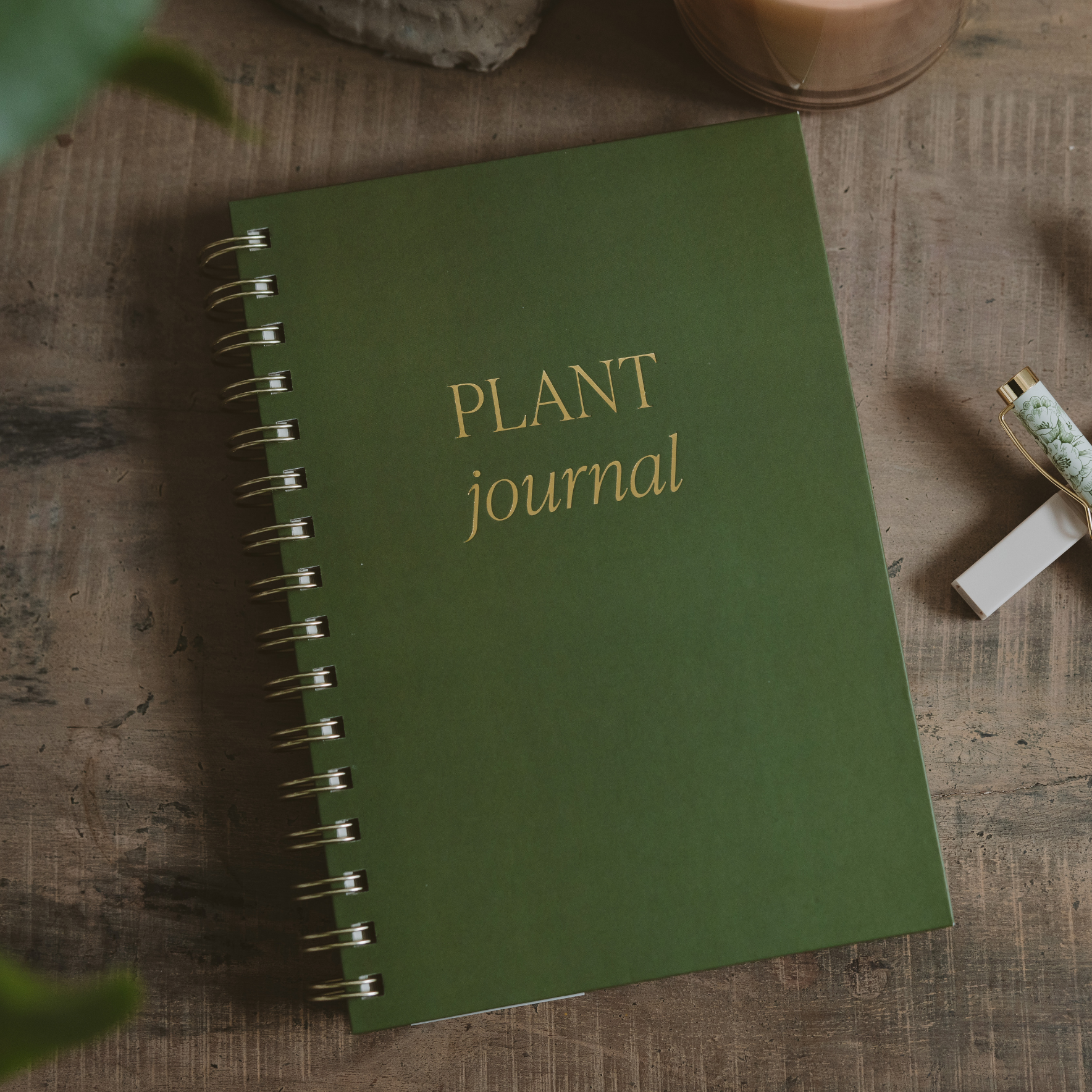 Green 'Plant Journal' notebook on a wooden surface with plants and a plant pot.