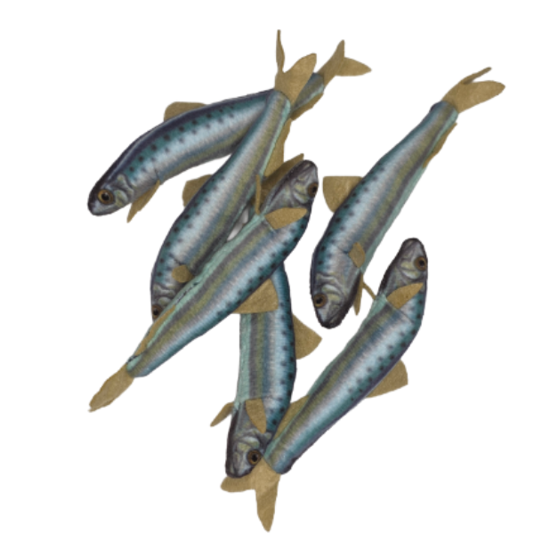 Can O' Sardines | Fish Stuffed Animal Plush w/Funny Jokes