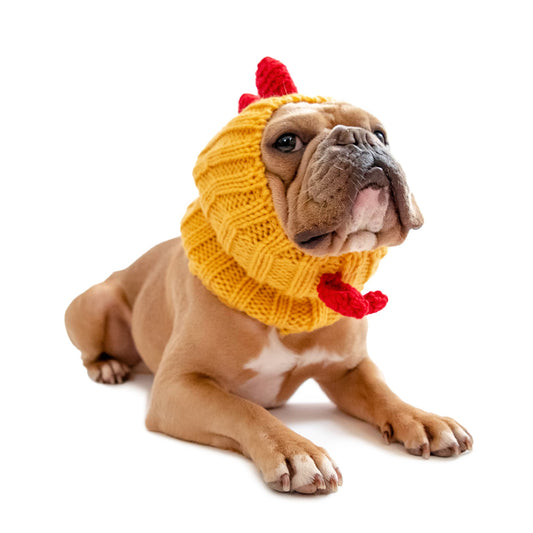 Yellow Rooster Dog Snood