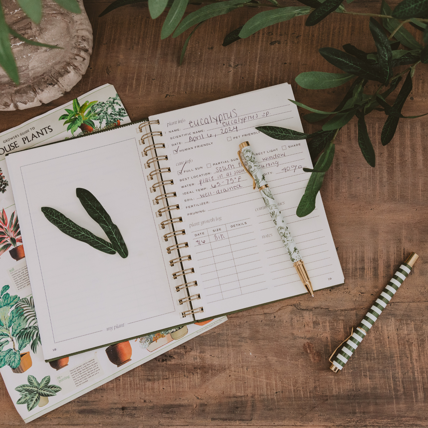 Open notebook with plant-themed pages on a wooden surface with a pen and house plants.