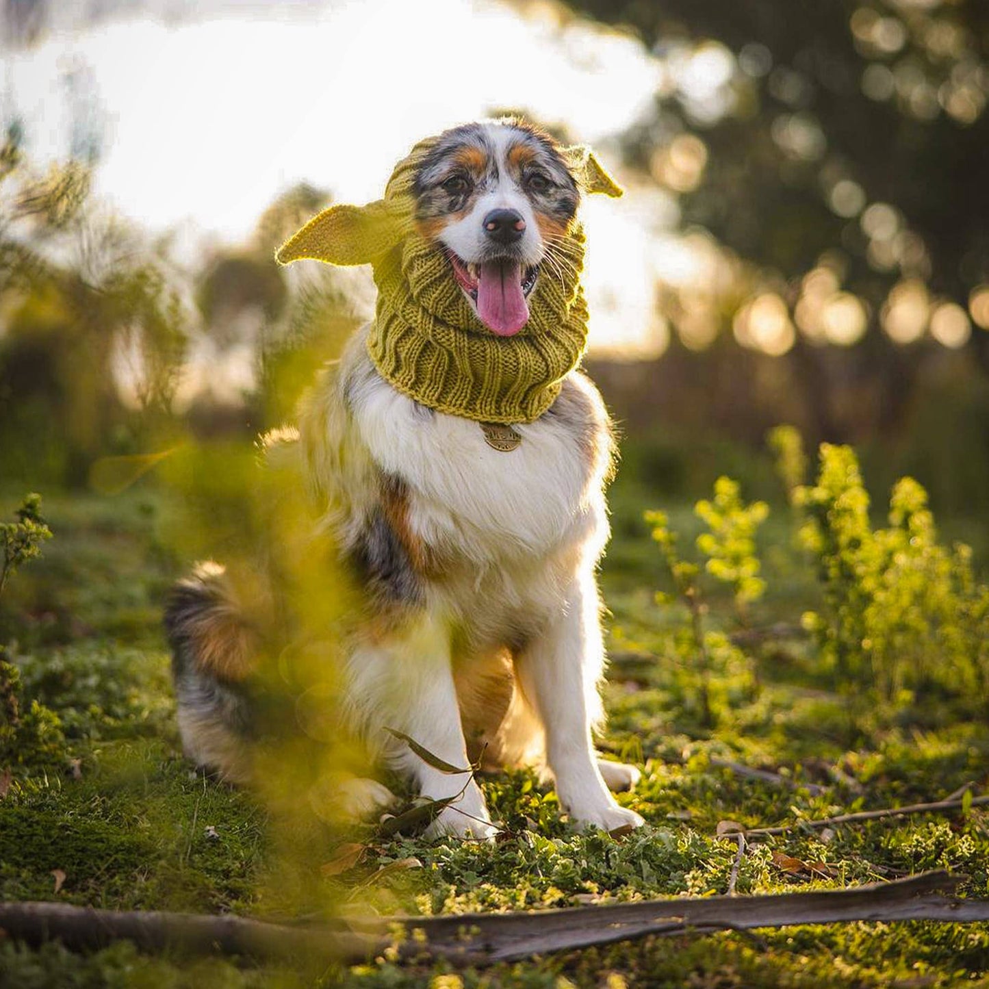 Baby Alien Dog Snood