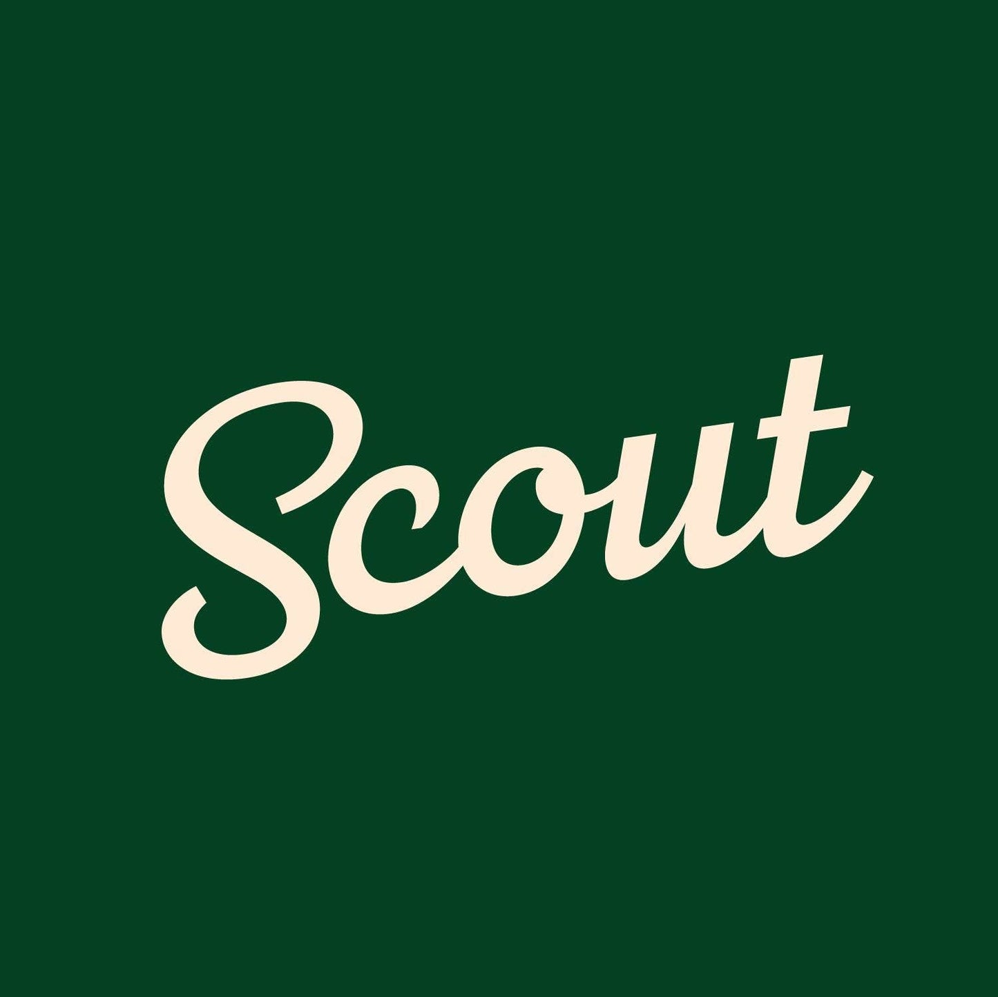 Scout Dipping Sauce - Original Mustard