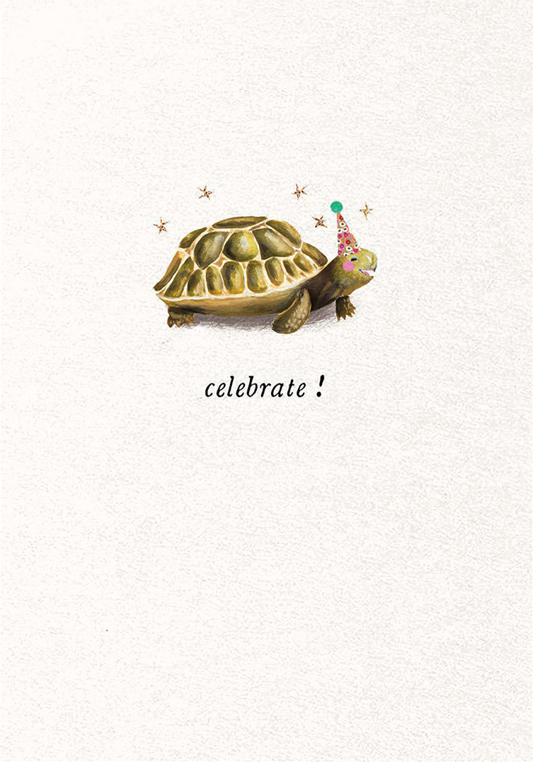 Congratulations Tortoise Greeting Card Stephanie Davis