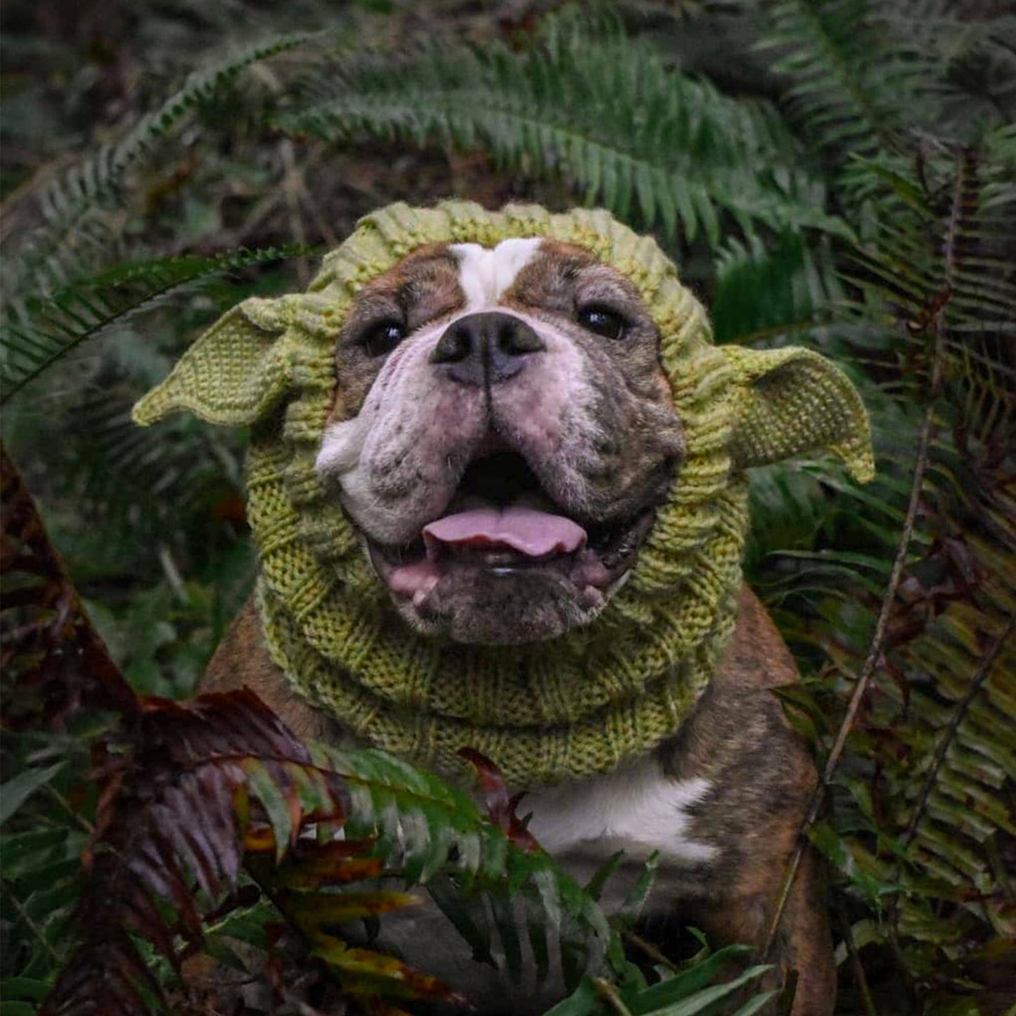 Baby Alien Dog Snood