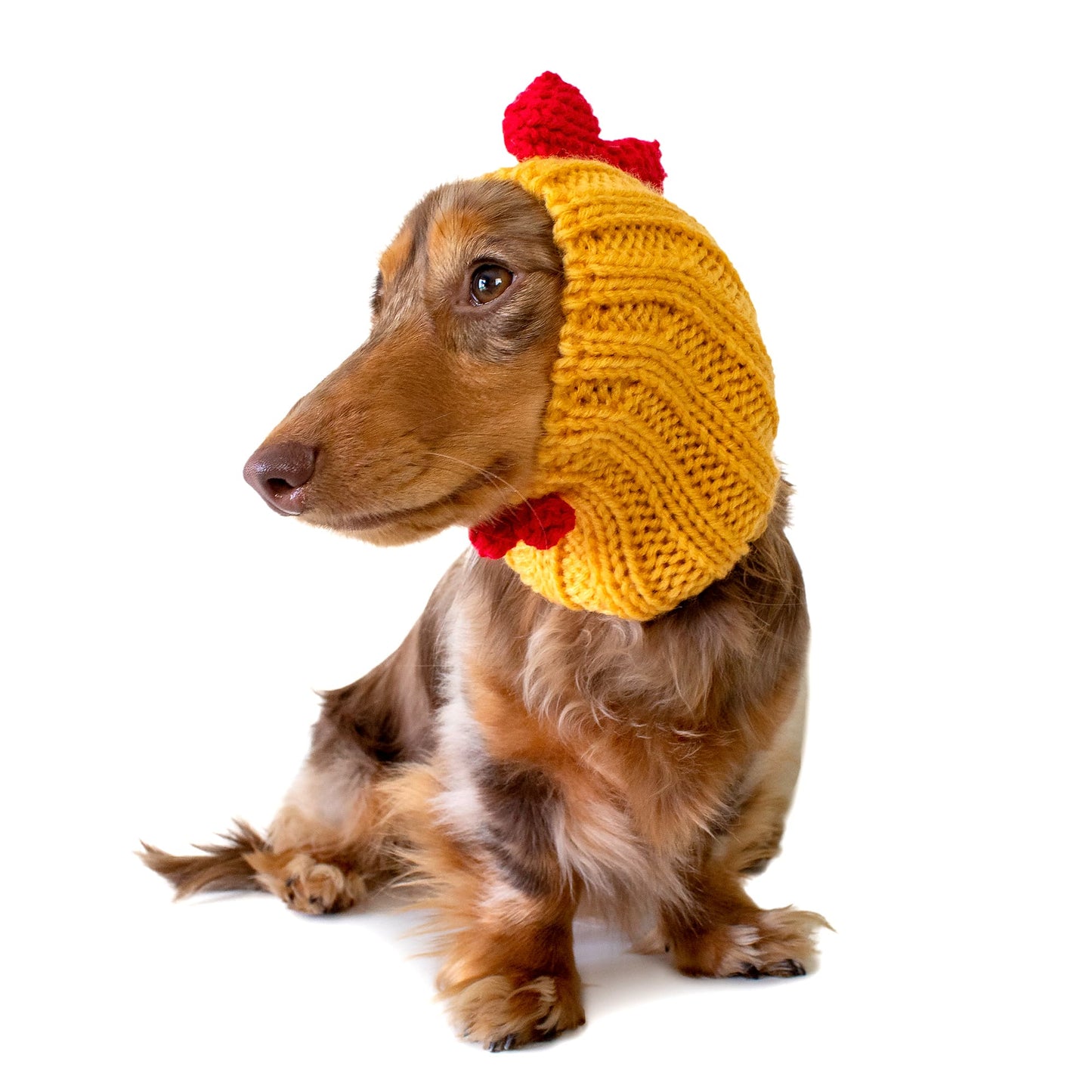 Yellow Rooster Dog Snood