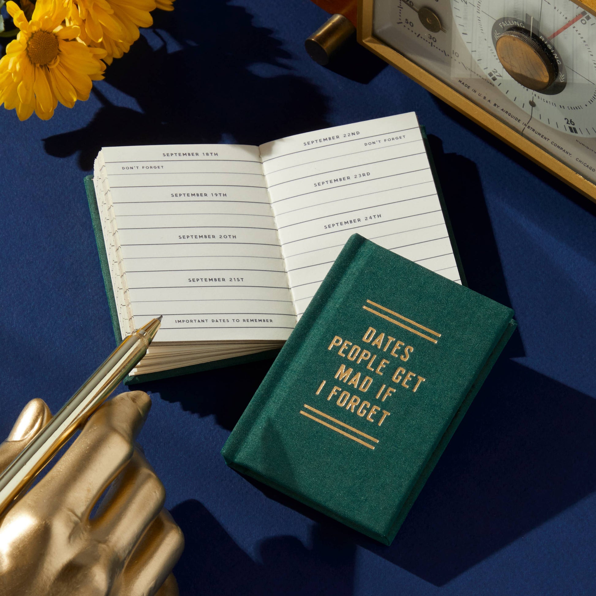 Small notebook with a humorous title on a blue surface with a pen and flowers.