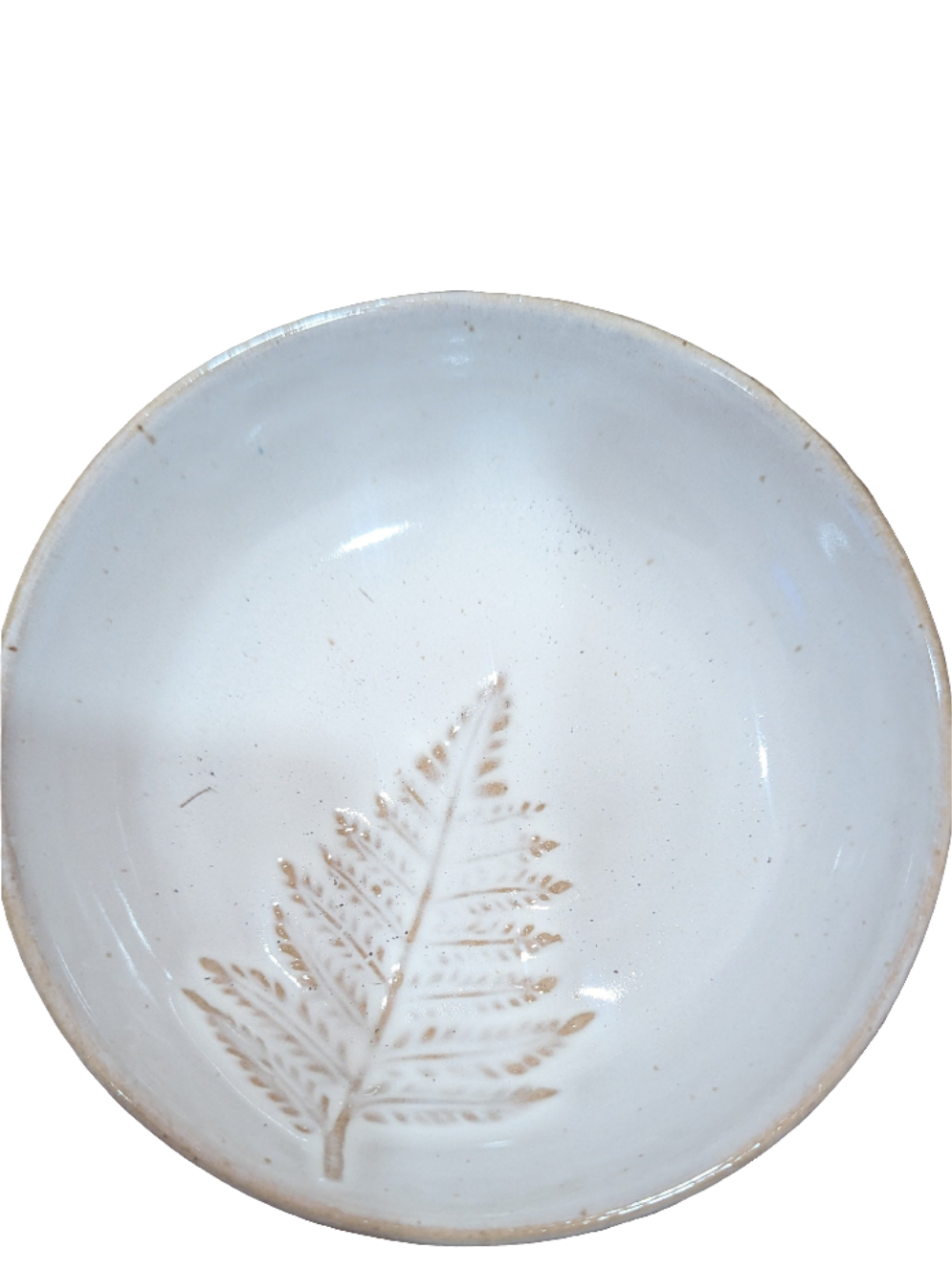 Fern Glazed Dish