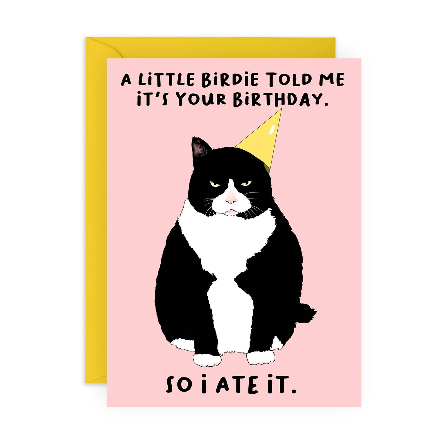 Birthday card with a black and white cat wearing a party hat on a pink background.