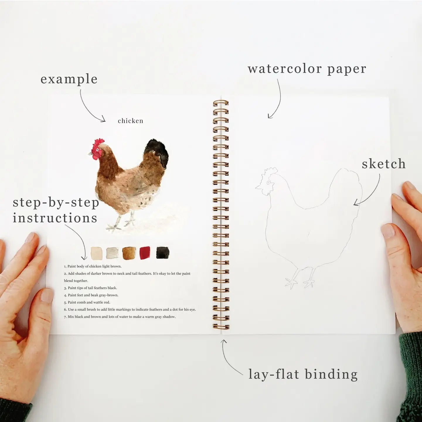 Open notebook with a chicken illustration, watercolor paper, and step-by-step instructions on a white background.