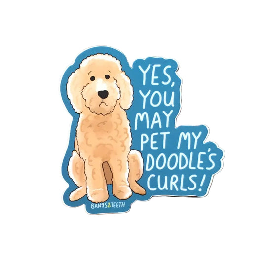 A die-cut sticker featuring a cartoon golden doodle and the text 'YES, YOU MAY PET MY DOODLES CURLS!' in blue, displayed on a wooden surface against a red brick wall.
