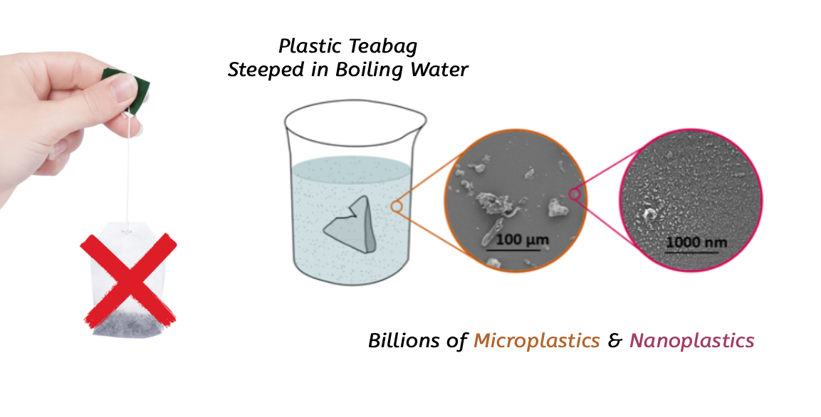 Diagram showing plastic teabag steeping in boiling water with microplastics and nanoplastics released.